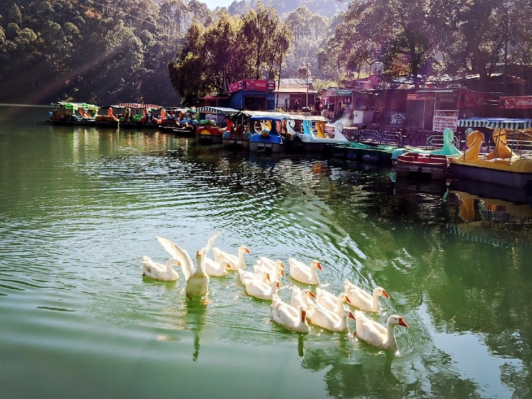 Naukuchiatal lake