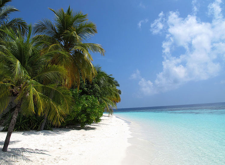 White Sandy Beaches of Maldives