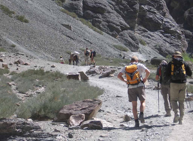 markha valley trek