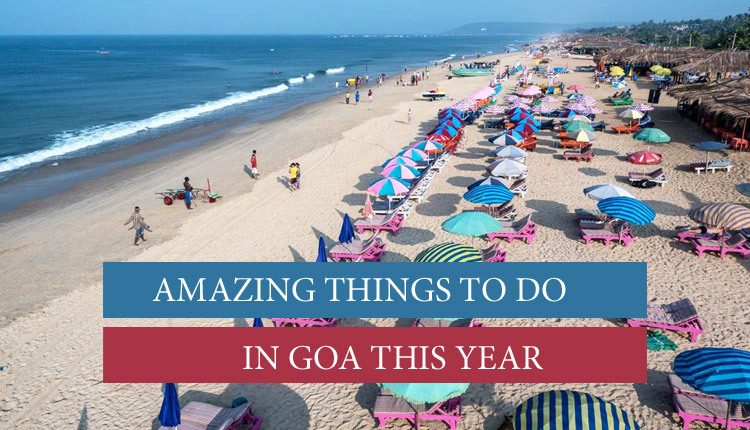 Do these things to do in goa