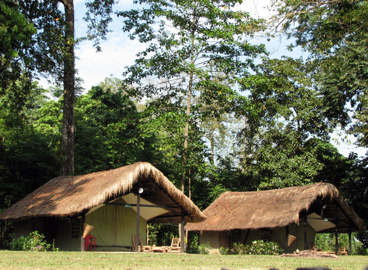 Camping in Nameri Eco Camp, Assam