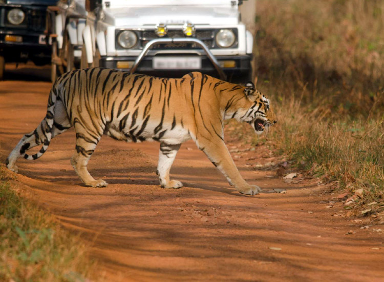 tourist places in maharashtra list