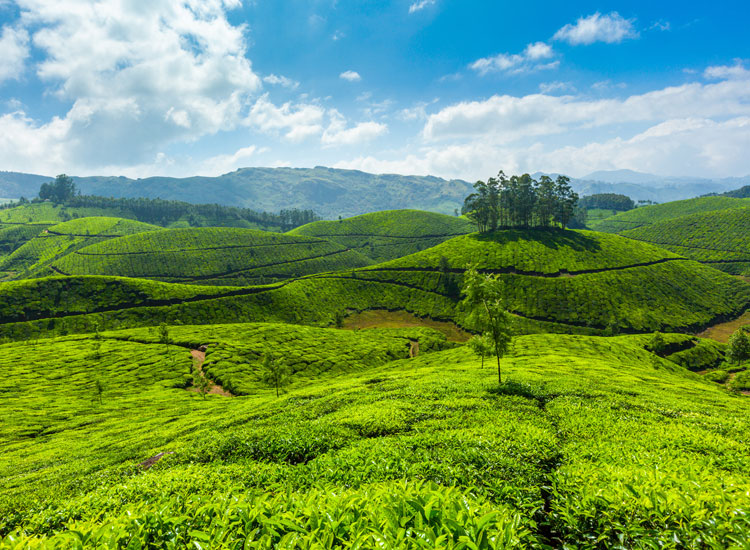 places to visit near kerala