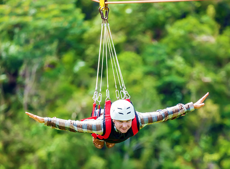 Flying Fox in India