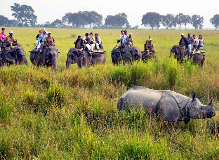 north east in india tourism