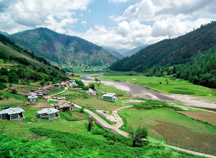 Ziro-Valley