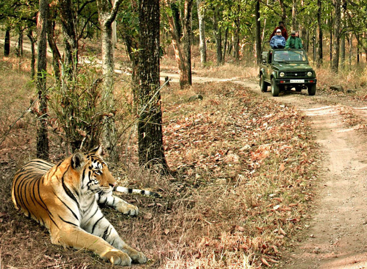 madhya pradesh tourist attractions