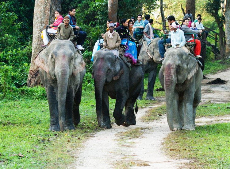 madhya pradesh me tourist places