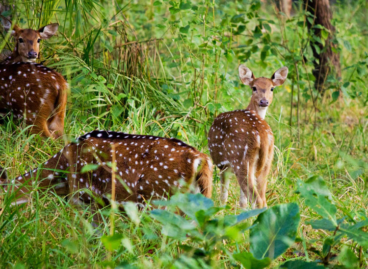 tourist destinations in mp