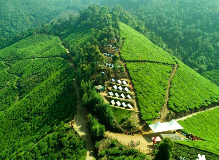 kolukkumalai tea plantation