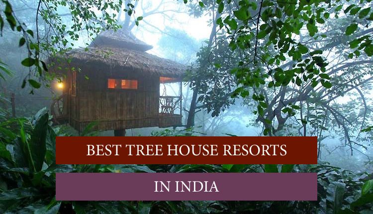 India's tree house resort with luxury accommodation