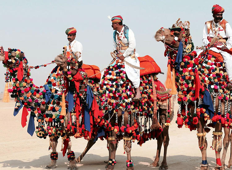 pushkar camel fair 