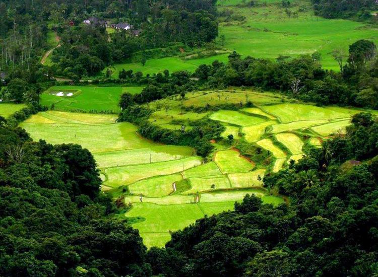 Coorg | Honeymoon Destinations in India