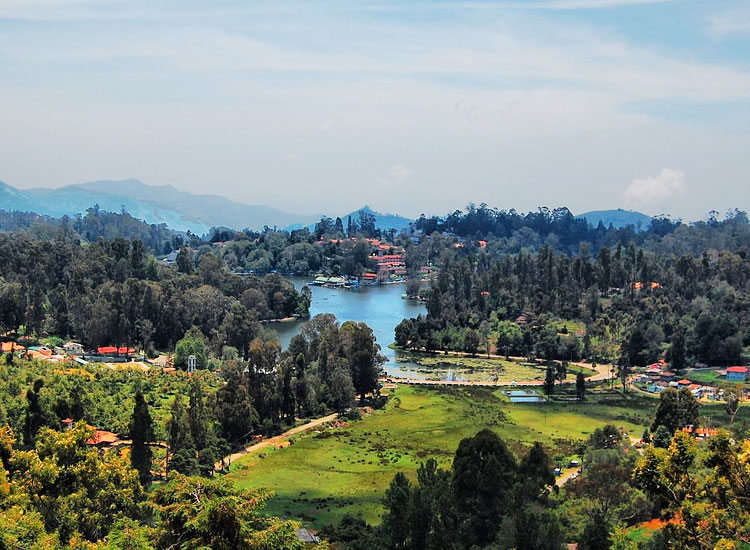 kodaikanal honeymoon