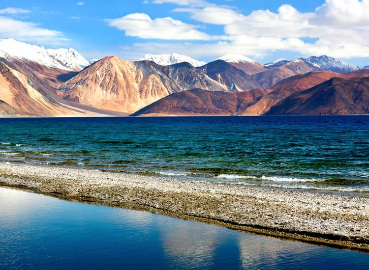 leh ladakh honeymoon tour 