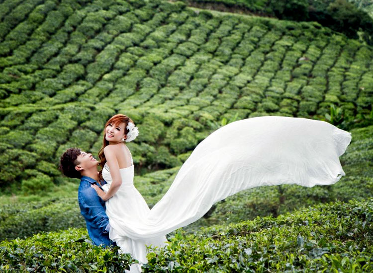 munnar honeymoon tour 