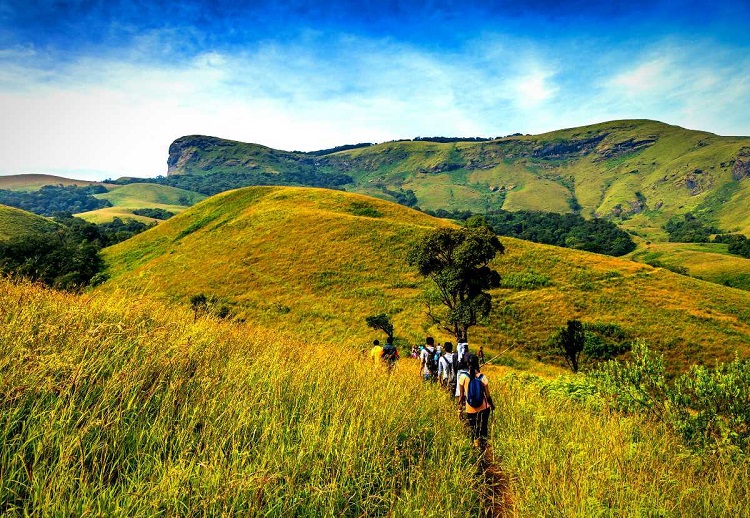 Kudremukh National Park, Chikmagalur