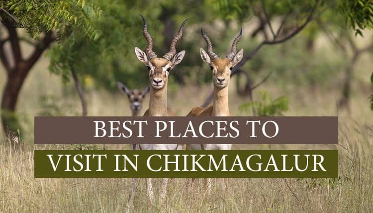 best places to visit in Chikmagalur?