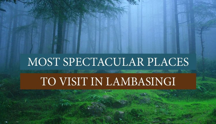 Visit these places in Lambasingi