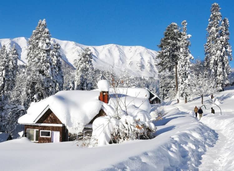 What Are the Best Winter Honeymoon Destinations in India