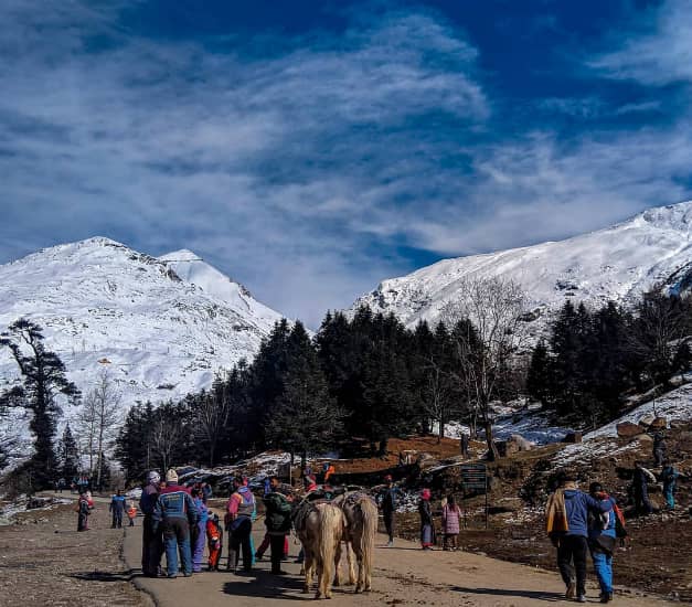 Gulaba Viewpoint a good place near manali