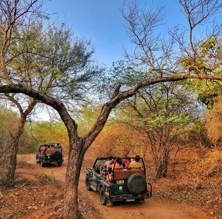 Ranakpur around jaipur