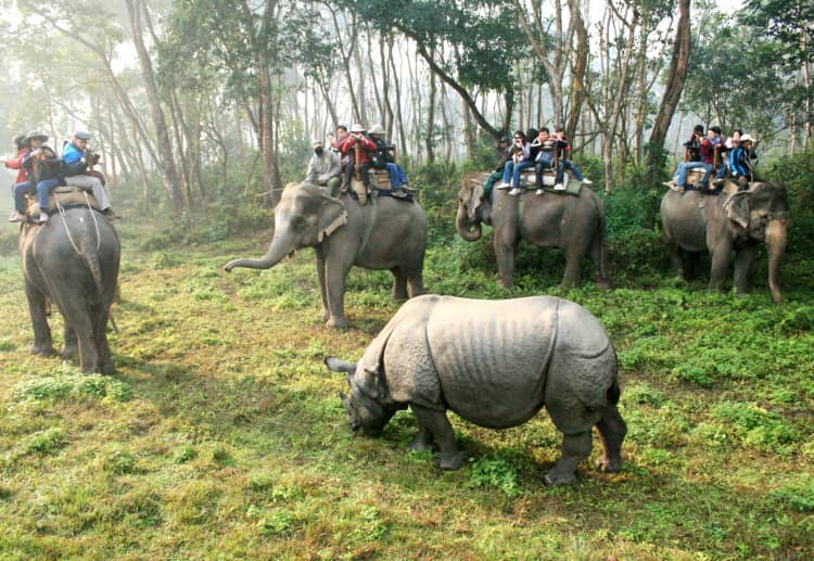 Nepal's Chitwan National Park