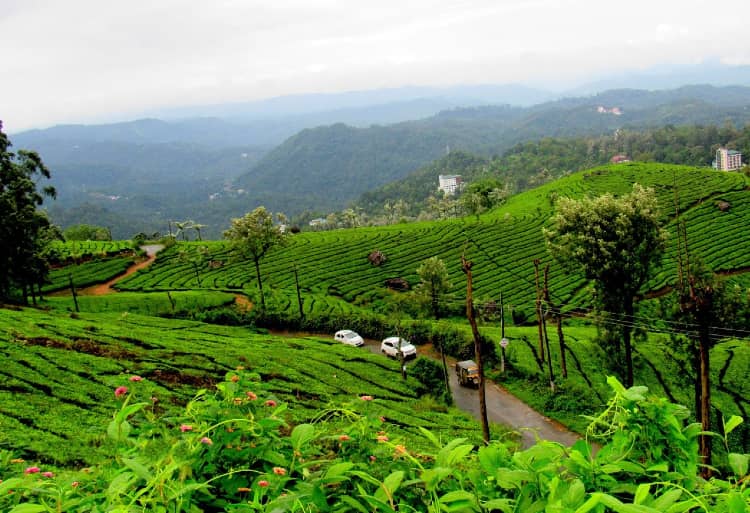 Must go for honeymoon in Munnar