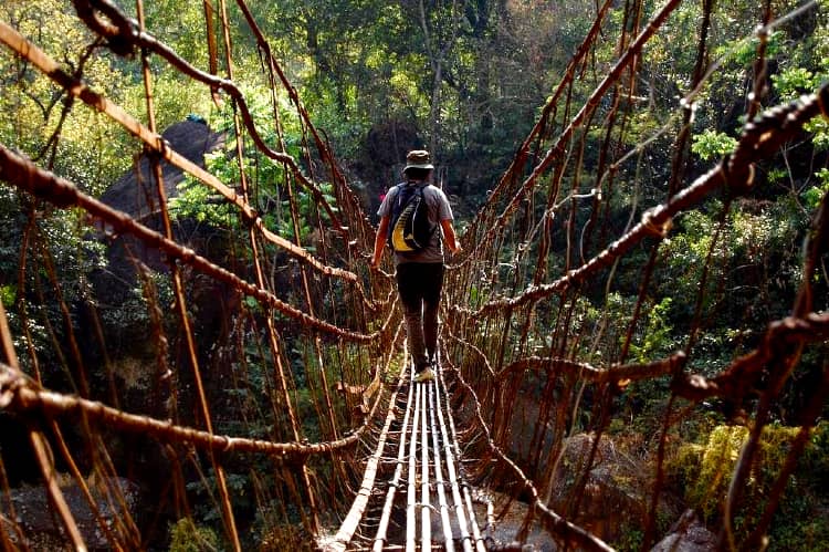 Honeymoon couples must experience the living route bridge of Cherrapunji