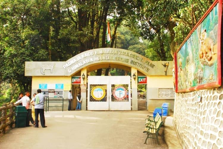 Padmaja Naidu Himalayan Zoological Park