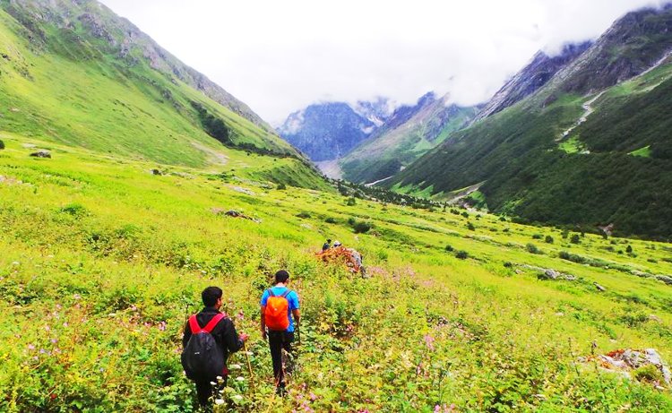 Trekking in Valley of Flowers National Park