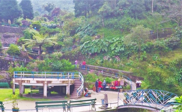 Rock garden in darjeeling