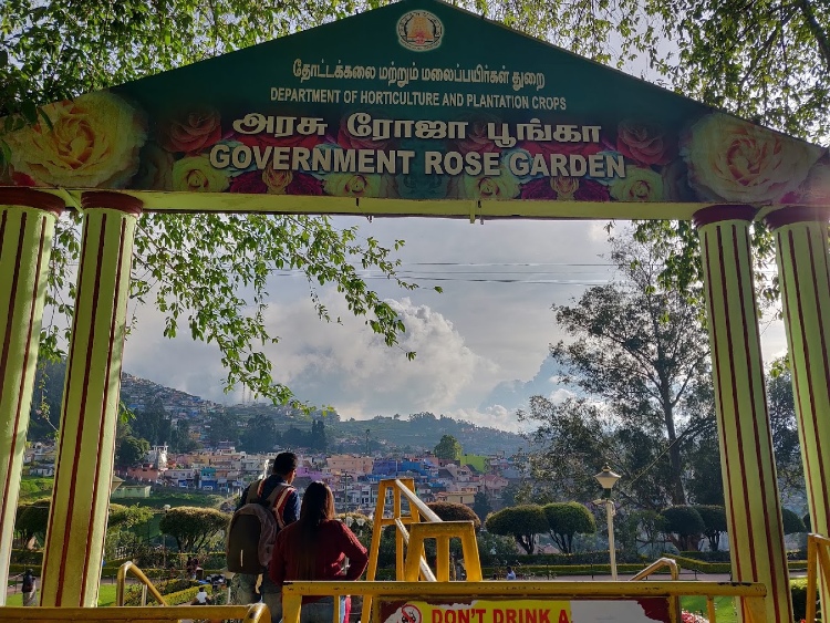 Rose Garden in ooty