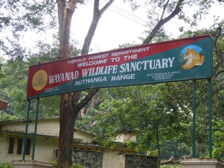 Muthanga Wildlife Sanctuary