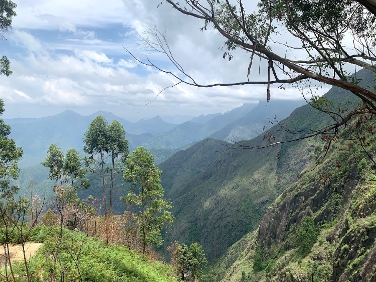 Echo Point in munnar