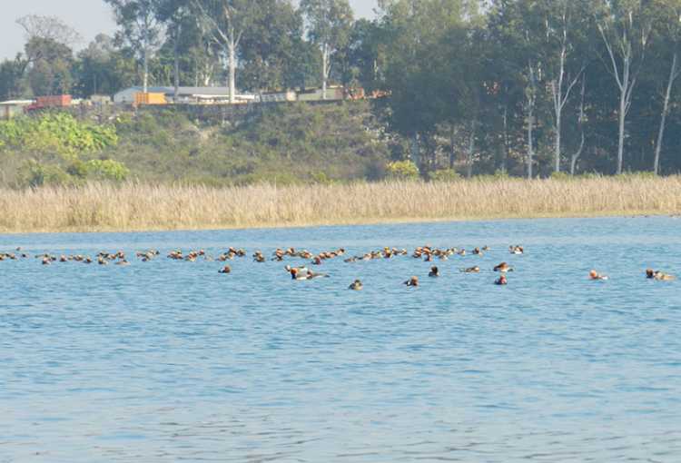 Asan Barrage