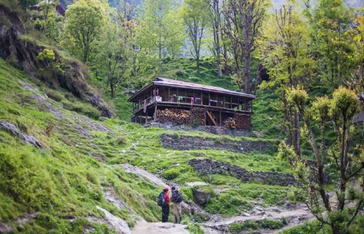 Malana