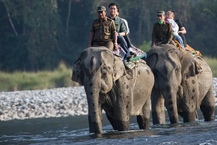 Namdapha-National-Park