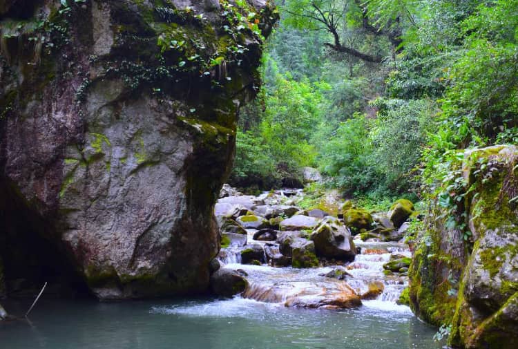 Tirthan Valley