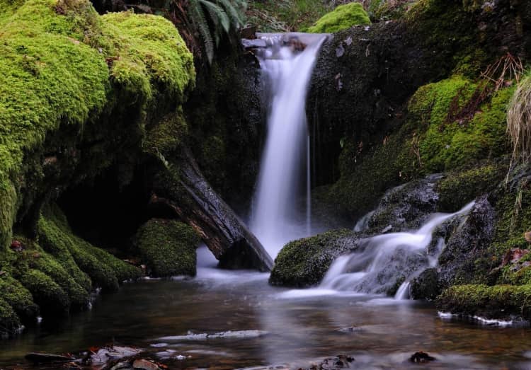 Mossy Falls