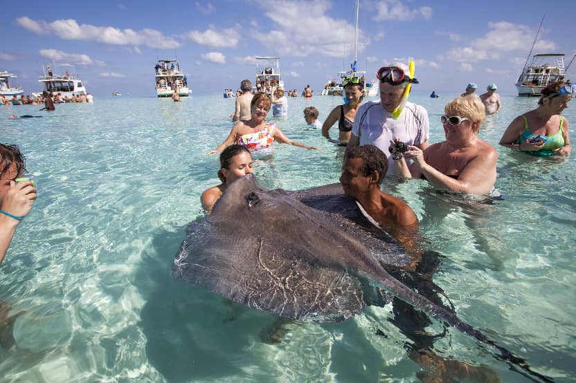 Feed Stingrays to Form Connection Between Human & Marine Life