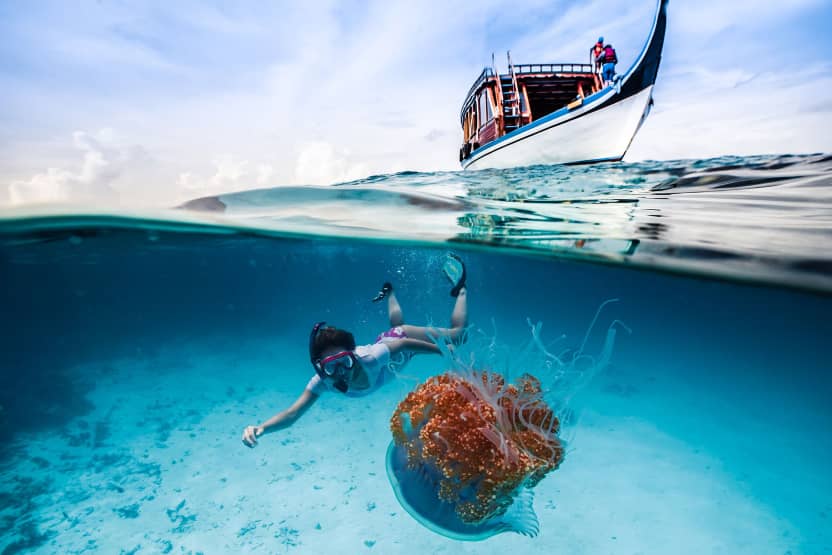 Island Resorts in Maldives for Snorkeling