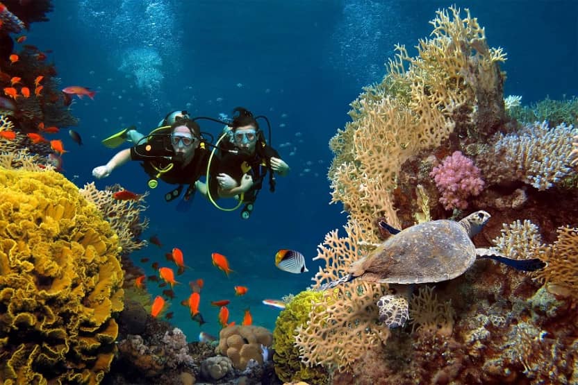 Places for Scuba Diving in Maldives