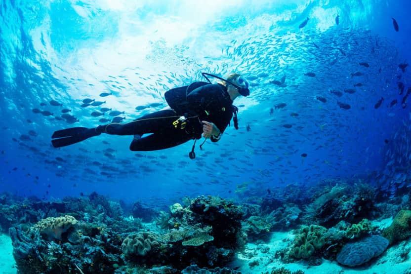 Scuba Diving Excursion in Maldives