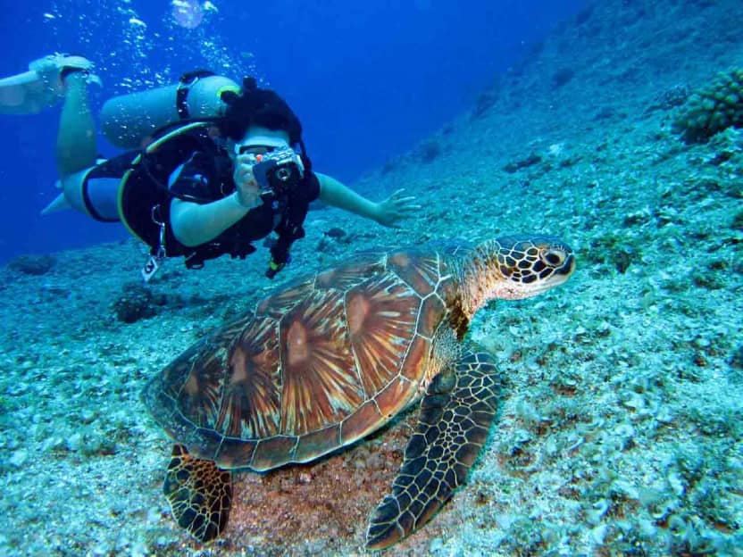 Scuba Diving in Maldives Tips