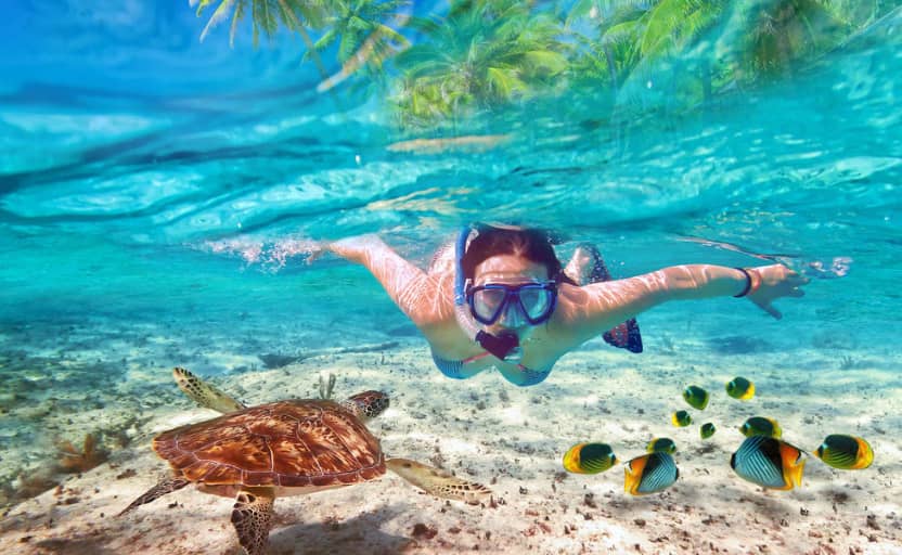 Season for Snorkeling in Maldives