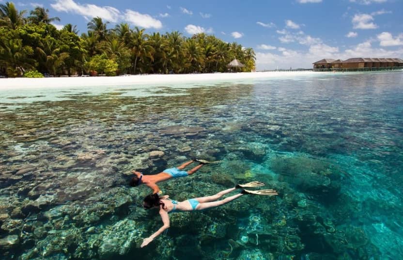 Snorkeling Destinations in Maldives