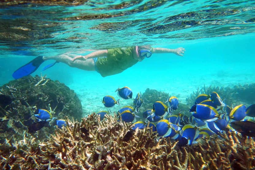 Snorkeling Male Atolls