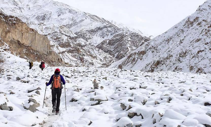 Snow Leopard Trek in Ladakh