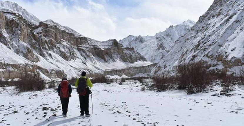 Cost of Snow Leopard Trekking